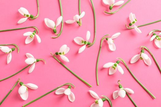 Flat lay composition with snowdrop flowers on color background, space for text