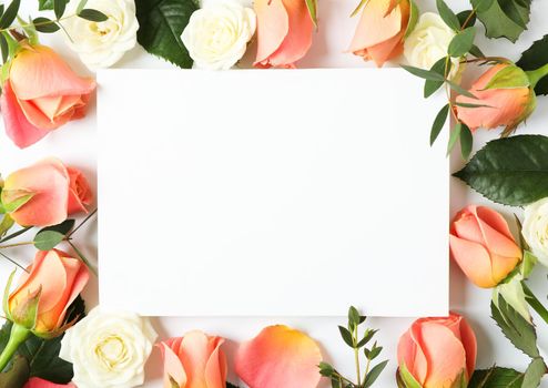 Beautiful roses on white background with space for text