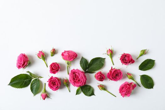 Flat lay composition with roses and petals on white background, space for text