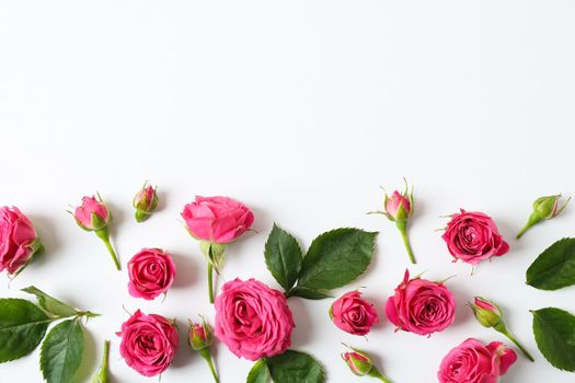 Beautiful fresh pink roses on white background, space for text