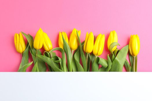 Beautiful fresh yellow tulips with blank card on color background. Space for text