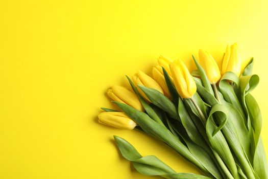 Beautiful bouquet of yellow tulips on color background, top view. Space for text