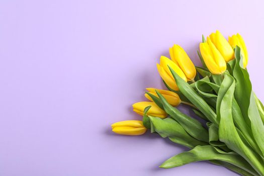 Beautiful yellow tulips on color background, top view. Space for text