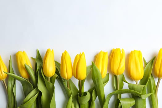 Composition with beautiful yellow tulips on light background. Space for text