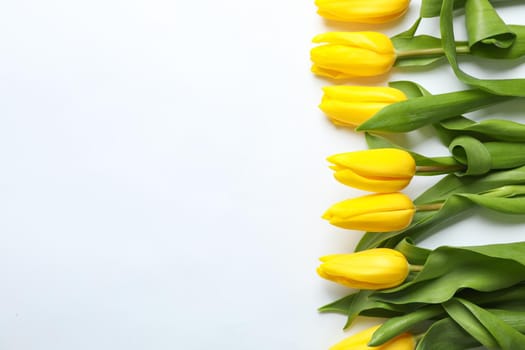 Composition with beautiful yellow tulips on light background. Space for text