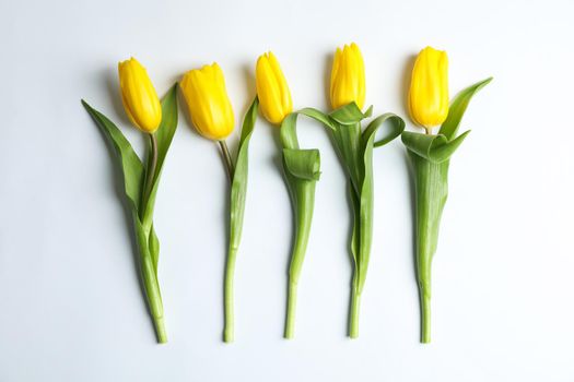 Composition with beautiful yellow tulips on light background. Top view