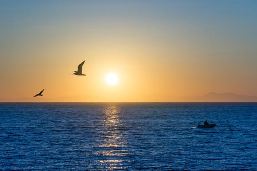 Seascape in the evening with sunset. For design and networking.