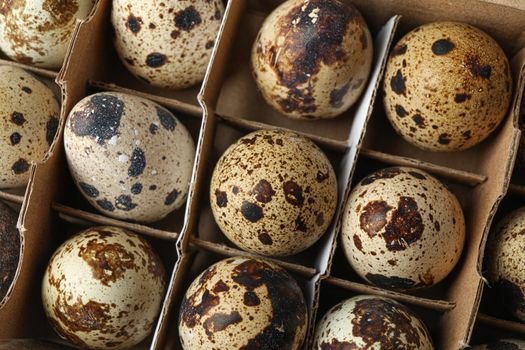 Quail eggs in carton box as background, closeup and top view