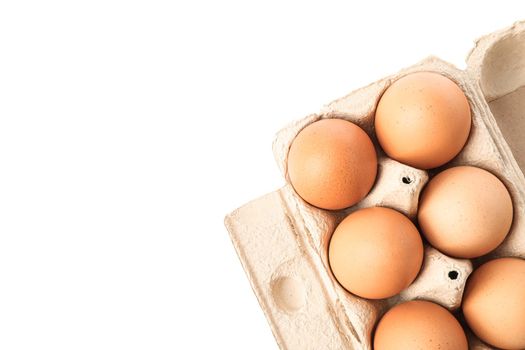 Brown chicken eggs in carton box isolated on white background. top view