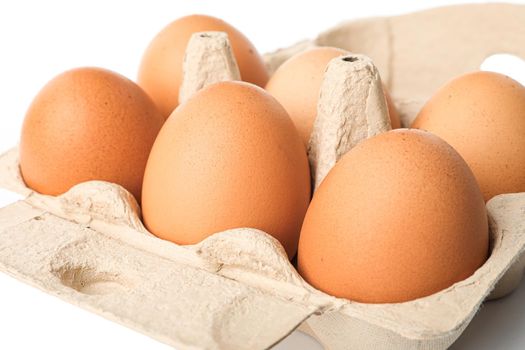 Brown chicken eggs in carton box isolated on white background. closeup