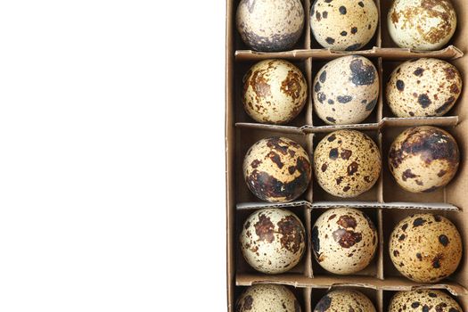 Quail eggs in carton box isolated on white background, top view