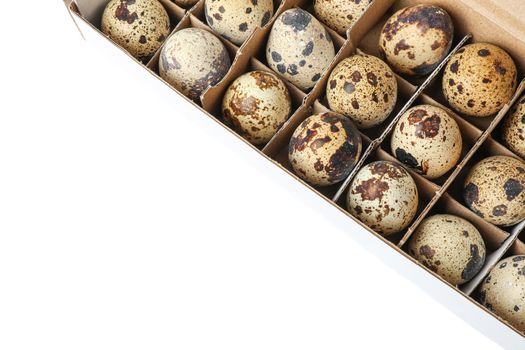 Quail eggs in carton box isolated on white background, top view