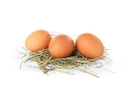 Brown chicken eggs on straw isolated on white background