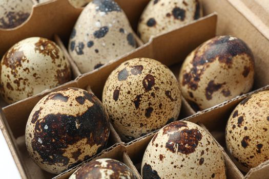 Quail eggs in carton box isolated on white background, closeup