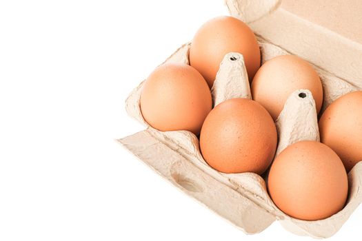 Brown chicken eggs in carton box isolated on white background