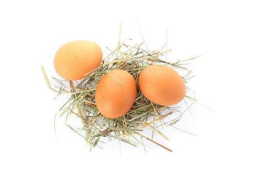 Brown chicken eggs on straw isolated on white background, top view
