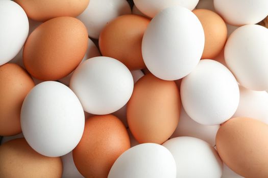 Many chicken eggs as background, space for text