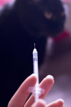 Syringe with insulin and black cat background. No people