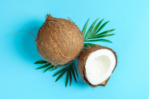 Two coconut one of which split with palm branch on color background