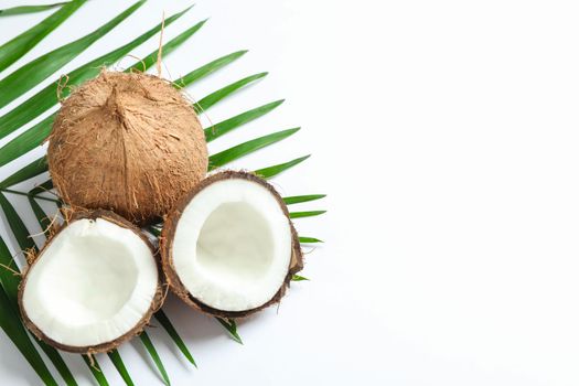 Two coconut one of which split with palm branch on white background