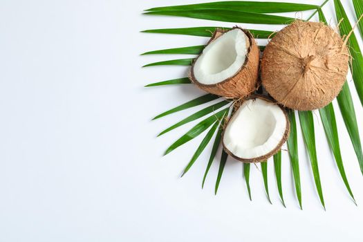 Two coconut one of which split with palm branch on white background