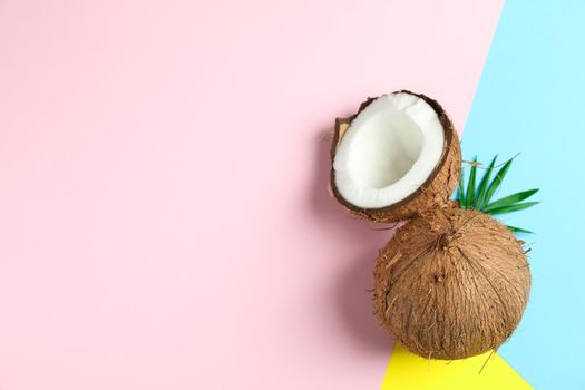 Two coconut one of which split with palm branch on color background