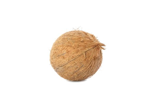 Fresh tropical coconut isolated on white background