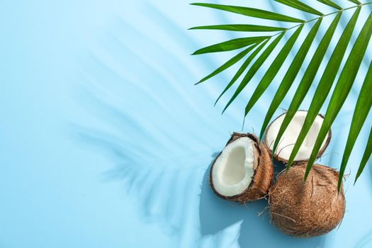 Two coconut one of which split with palm branch on color background