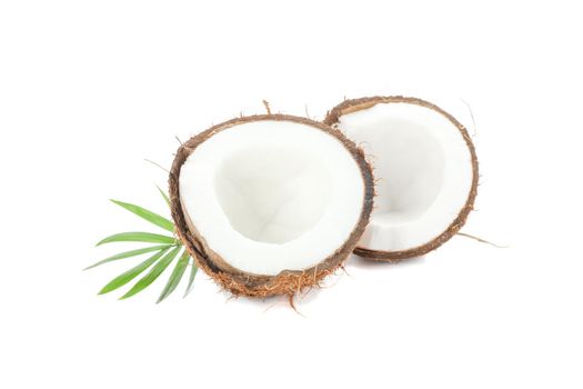 Split tropical coconut isolated on white background