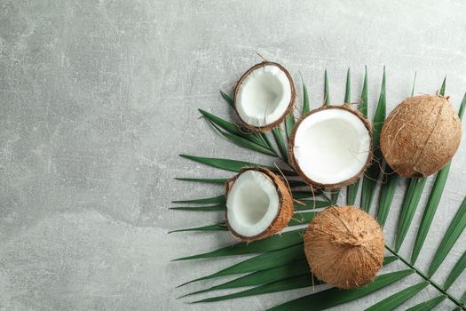 Fresh coconuts with palm branch on grey background, space for text