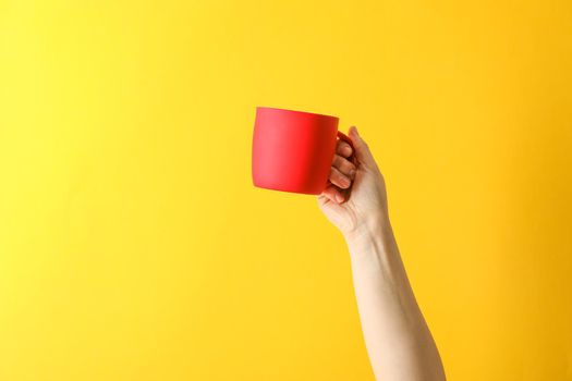 Female hand hold red cup against color background, space for text