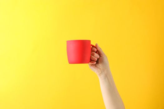 Female hand hold red cup against color background, space for text