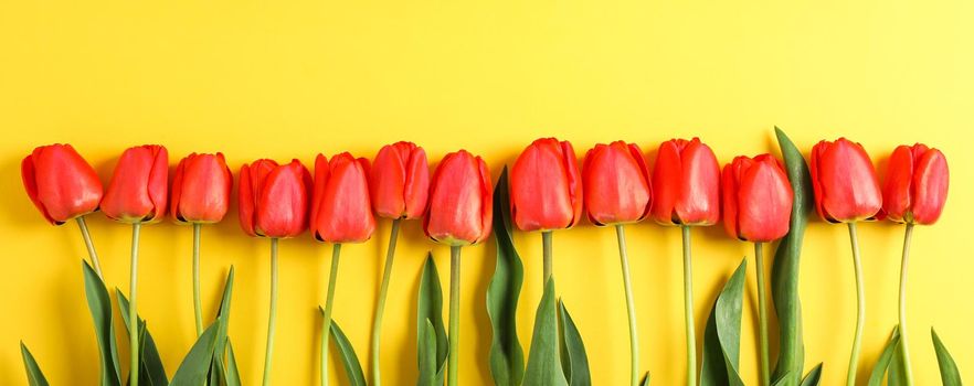 Many beautiful red tulips with green leaves on yellow background, space for text