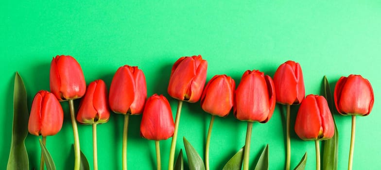 Many beautiful red tulips with green leaves on color background, space for text