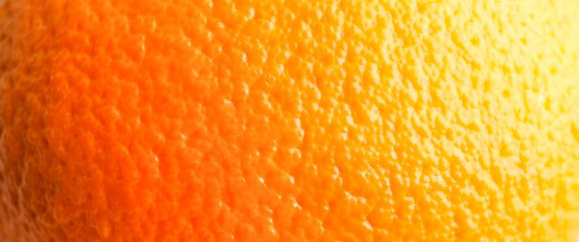 Crust of orange as background, space for text