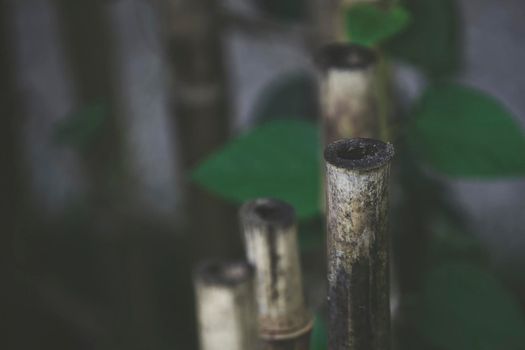 Natural background with bamboo details