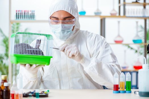 Scientist doing testing on animals rabbit