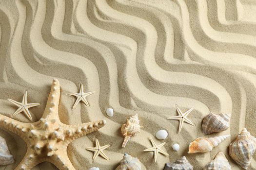 Clear sea sand with starfish and seashells, space for text and top view. Summer vacation background