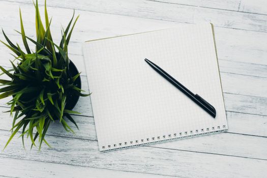notepad with pen flower potted wooden table office top view. High quality photo