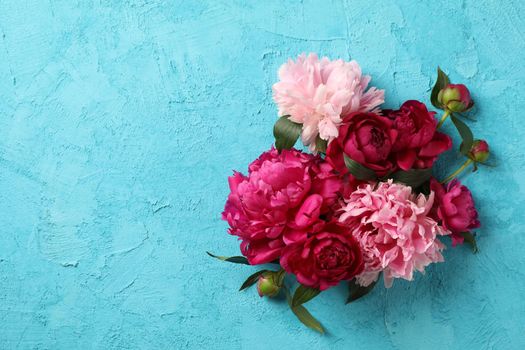 Beautiful peony flowers on color background, space for text