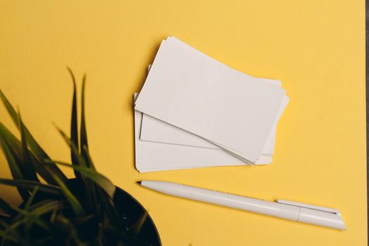 white business cards and ballpoint pen on yellow background flower in a pot. High quality photo