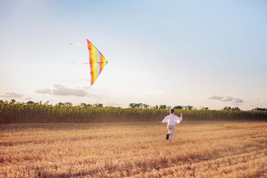 A boy in the countryside is flying a kite. The concept of summer holidays and outdoor activities.