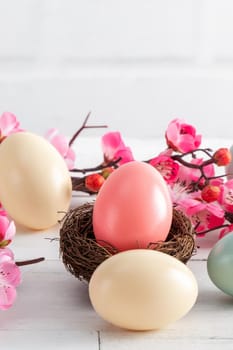 Close up of colorful Easter eggs in the nest with pink plum flower on bright white wooden table background.