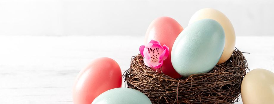 Close up of colorful Easter eggs in the nest with pink plum flower on bright white wooden table background.