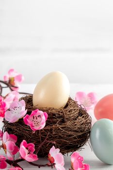 Close up of colorful Easter eggs in the nest with pink plum flower on bright white wooden table background.