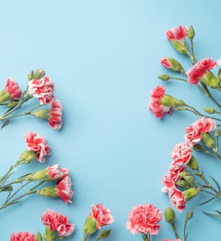 Concept of Mother's day holiday greeting gift design with carnation bouquet on bright blue table background