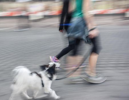 Man runs with his dog outside. Intentional motion blur