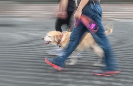 Man and woman walking with a dog. Intentional motion blur