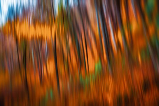 Abstract nature background. Image of trees in an autumn forest. Intentional motion blur