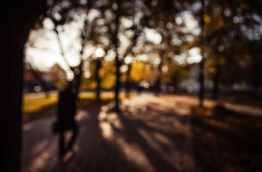 Defocused image of autumn city park with trees and sunlight